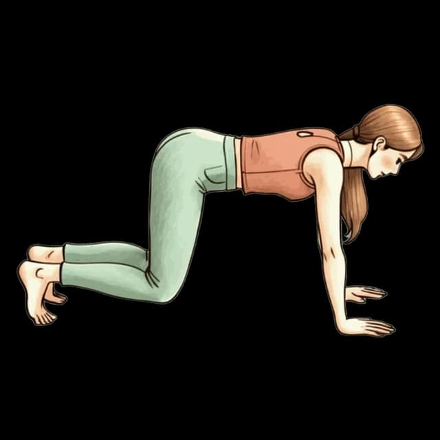 Bear Plank Hold illustration