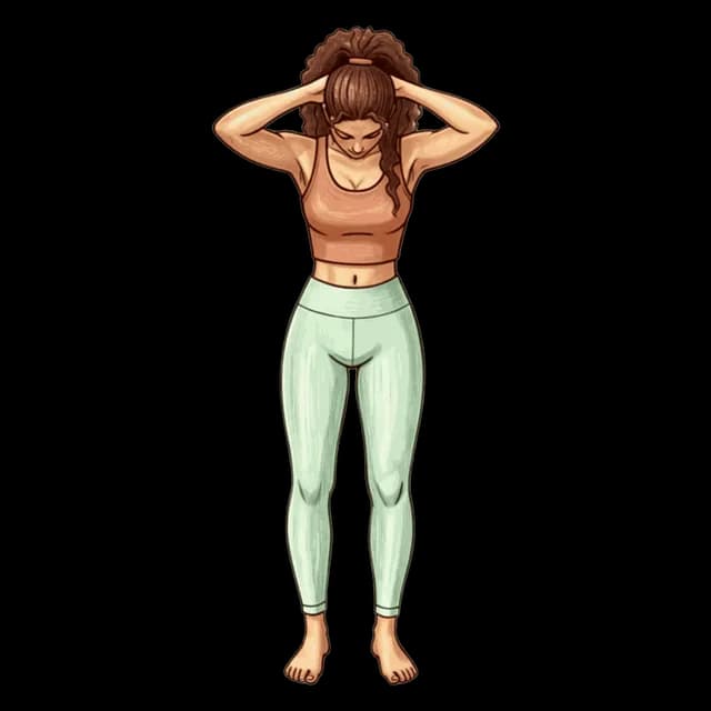 Chin-to-Chest Stretch illustration