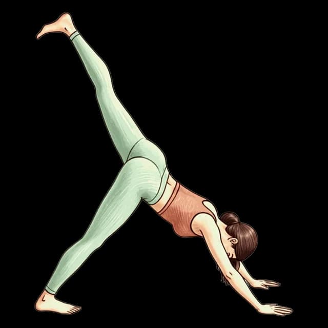 How to do Down Dog Split: illustration of the pose