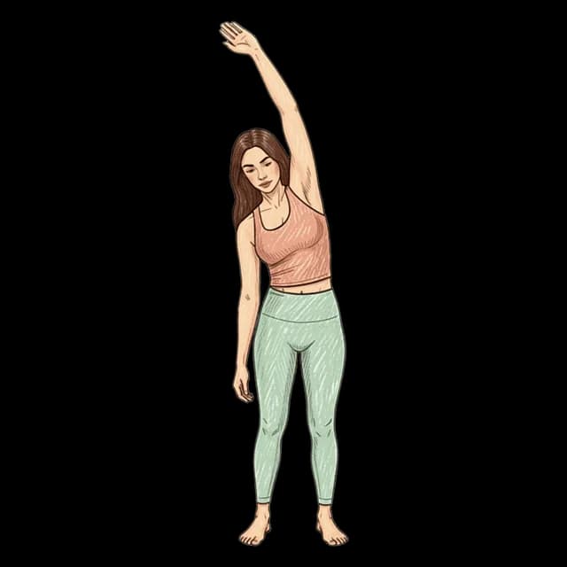 How to do Dynamic Side Bends: illustration of the pose