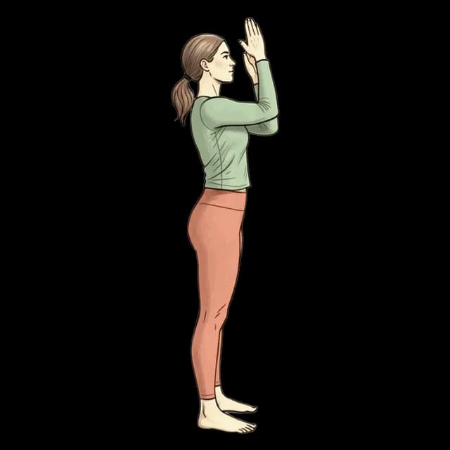 Eagle Arm illustration