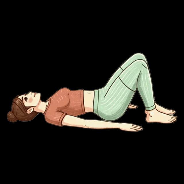 Hip Bridges illustration