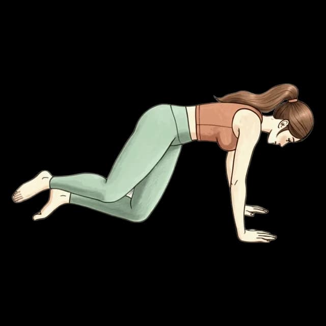 Kneeling Hip Circles illustration