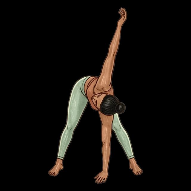 Revolved Wide Leg Forward Fold illustration