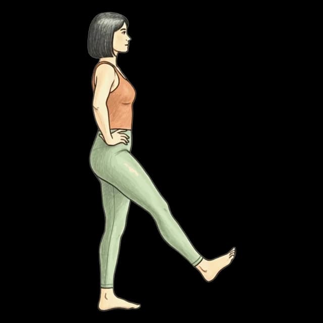 Single Leg Stand illustration