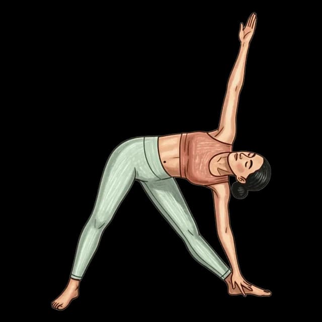 Triangle Pose illustration