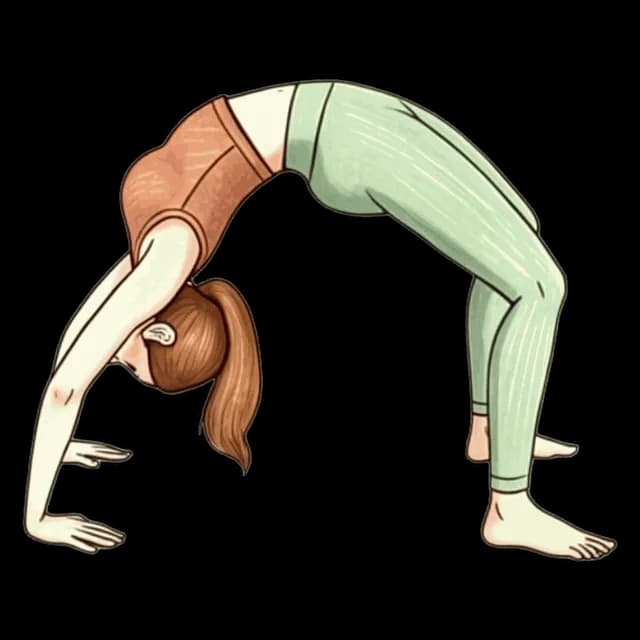 How to do Wheel Pose: illustration of the pose